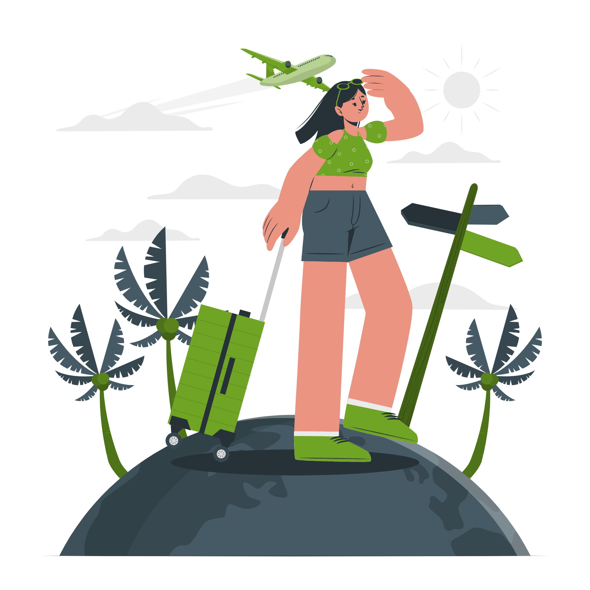 Tourism economy